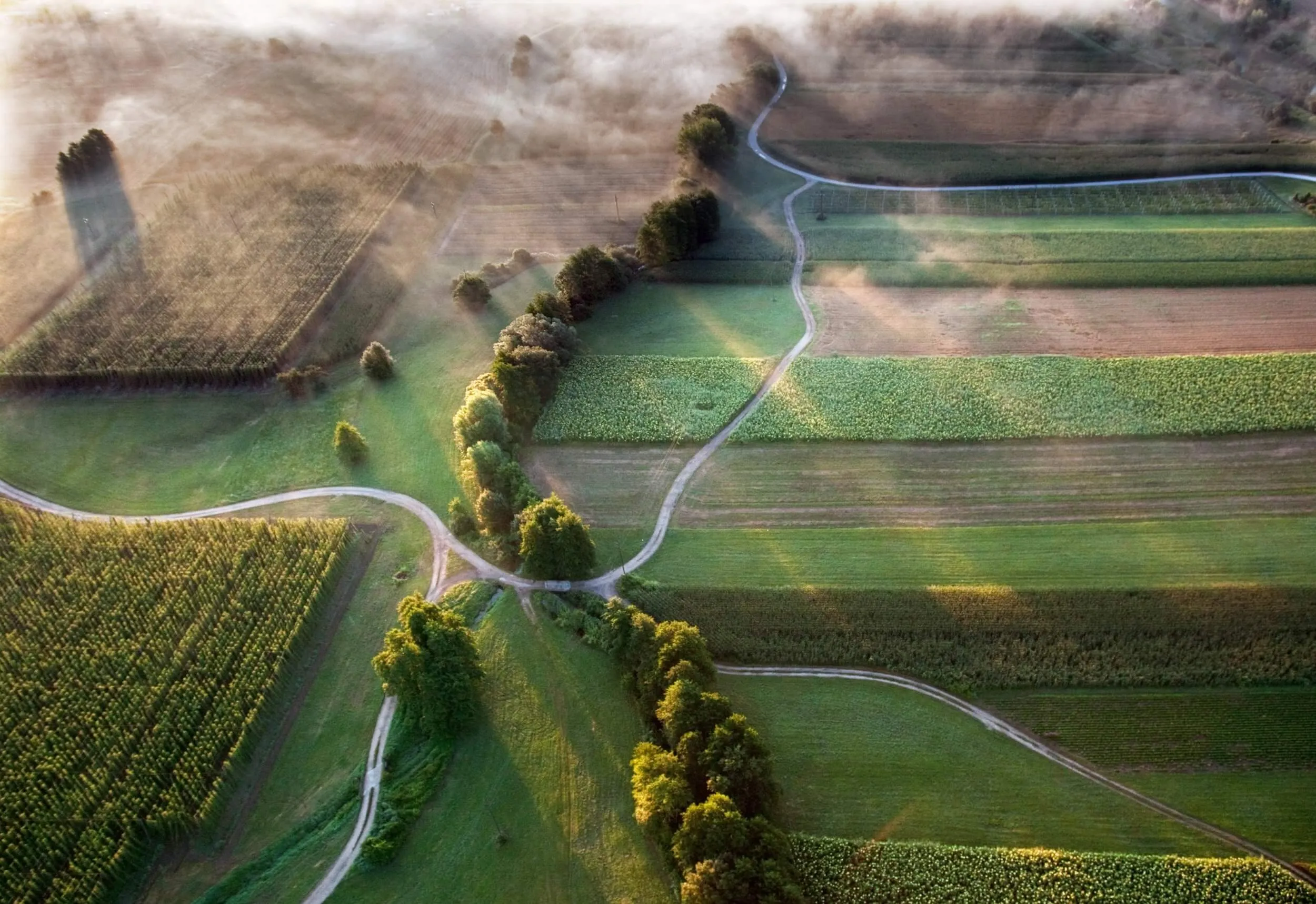 Aerial view of green farmland divided into fields by winding dirt roads and tree lines, with morning sunlight and low-lying mist partially covering the landscape.
